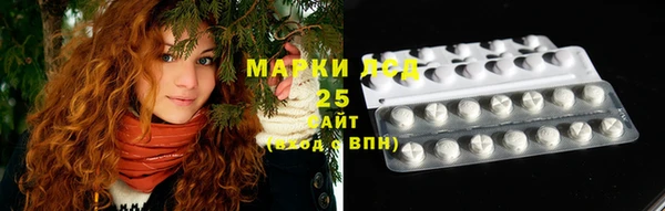 дурь Туринск