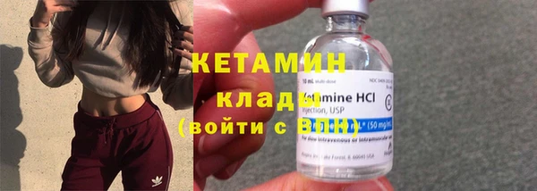 трава Тында