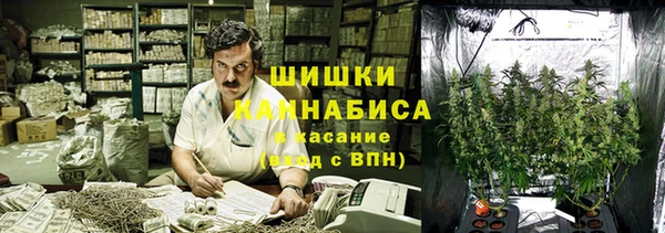 дурь Туринск
