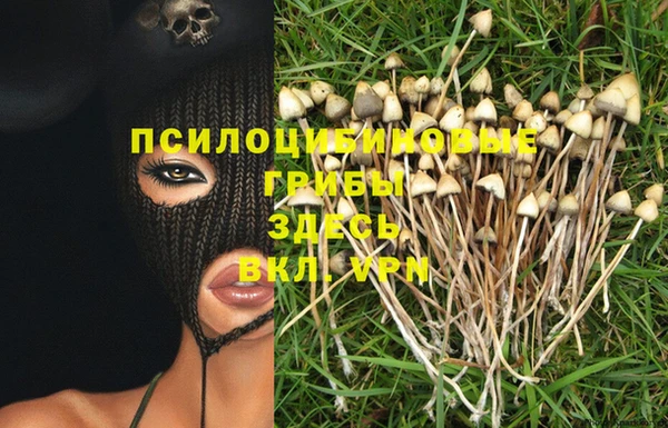 дурь Туринск