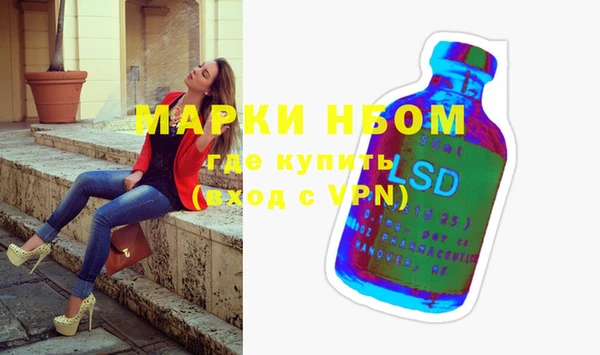 дурь Туринск