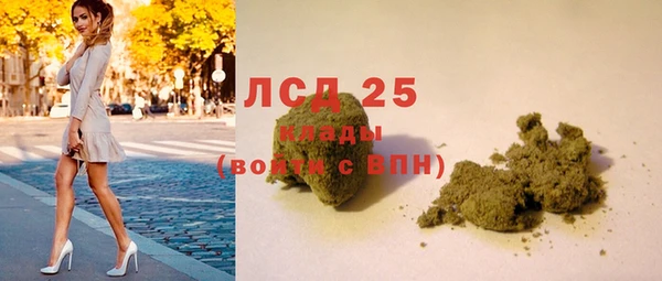 трава Тында